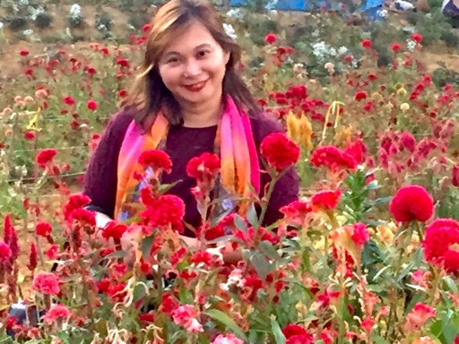 Anjanette  De Leon  -  Pediatrics