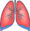 Edel Joey Leonar Reyes  -  Internal Medicine - Pulmonology